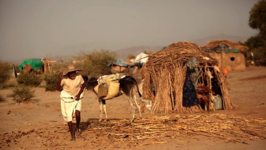 In this photo taken on Thursday, Oct. 6, 2016, an elderly man walks next to his donkey at a camp for internally displaced people near the town of Abs, located on Yemen’s western coastal plain below towering desert mountains. Hundreds of Yemenis fleeing war are now living in tents and mud-brick shelters scattered across a cornfield, where they buried the remains of loved ones they carried with them when they escaped. (AP Photos Hani Mohammed)