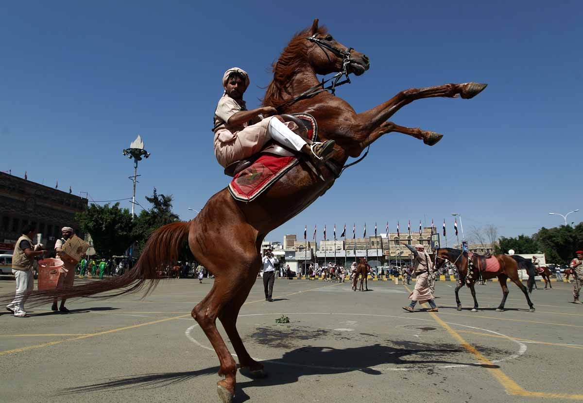 A Yemani man in traditional clothes performs on a horse during a parade in the capital Sanaa on May 21, 2016, on the eve of the 26th anniversary of Yemen's 1990 reunification.