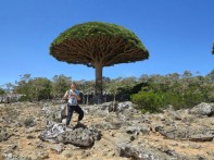 Socotra